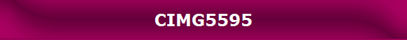 CIMG5595