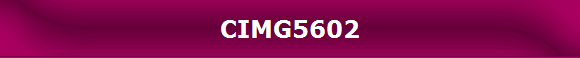 CIMG5602