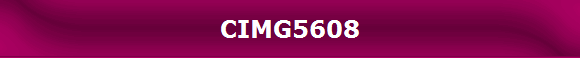 CIMG5608