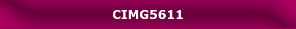 CIMG5611