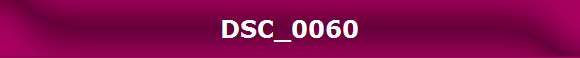 DSC_0060