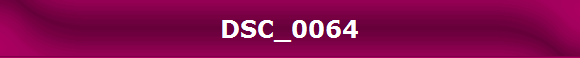 DSC_0064