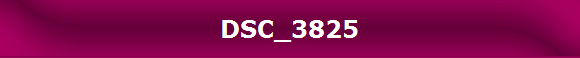 DSC_3825