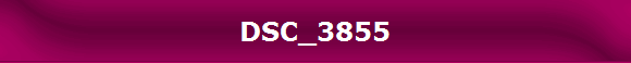 DSC_3855