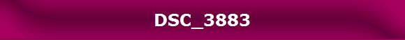 DSC_3883