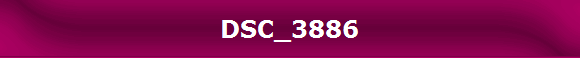 DSC_3886