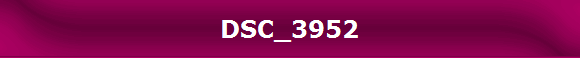 DSC_3952