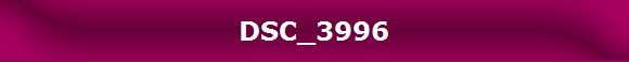 DSC_3996