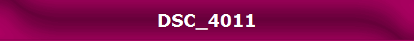 DSC_4011