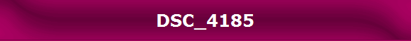 DSC_4185