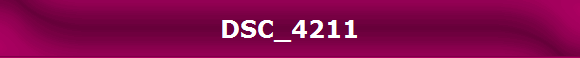 DSC_4211
