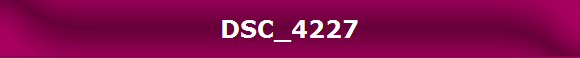 DSC_4227