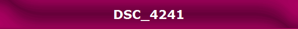 DSC_4241