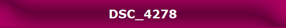 DSC_4278