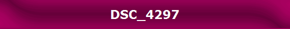 DSC_4297