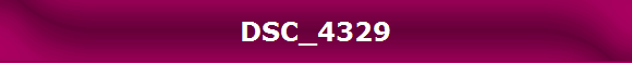 DSC_4329
