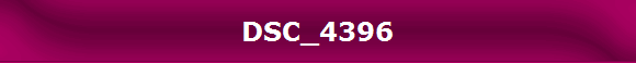DSC_4396