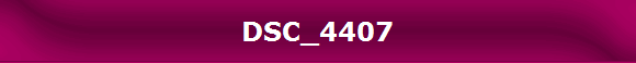 DSC_4407