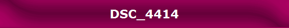 DSC_4414