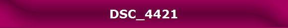 DSC_4421