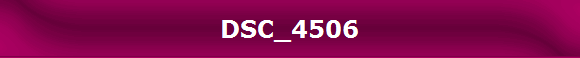 DSC_4506