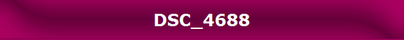 DSC_4688