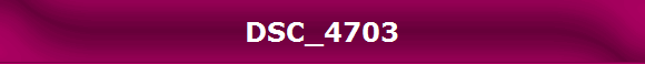 DSC_4703