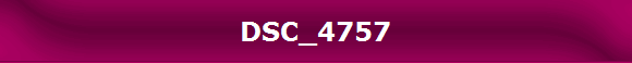 DSC_4757