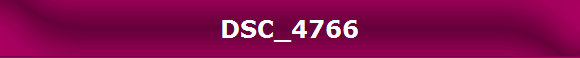 DSC_4766