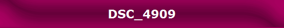 DSC_4909