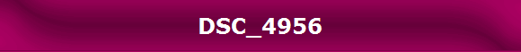 DSC_4956