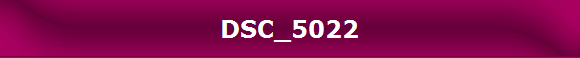 DSC_5022