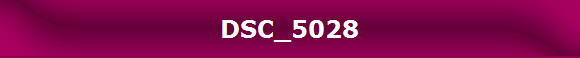DSC_5028