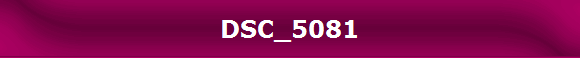 DSC_5081