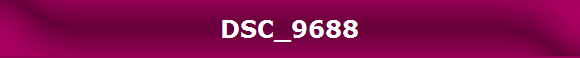 DSC_9688