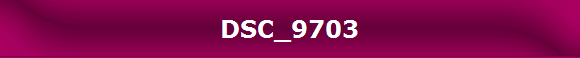 DSC_9703