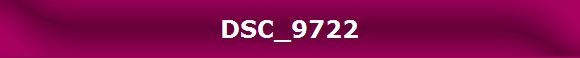 DSC_9722
