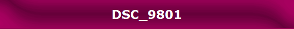 DSC_9801