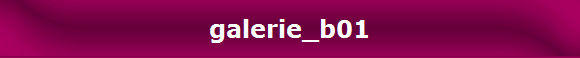 galerie_b01